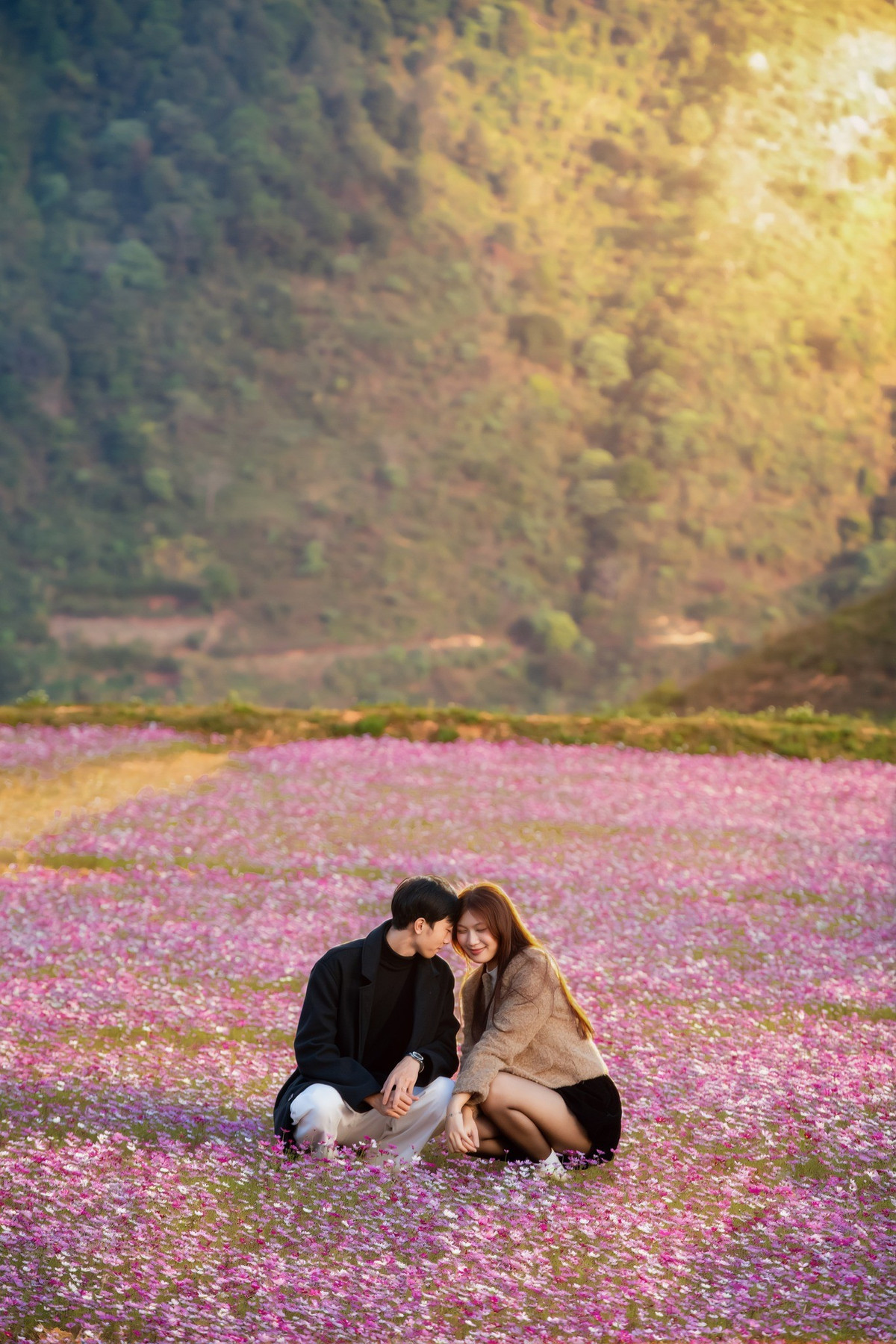 Đồi hoa cánh bướm thường nở đẹp nhất vào cuối thu – đầu đông, trùng thời điểm Tà Xùa bước vào mùa săn mây cao điểm.