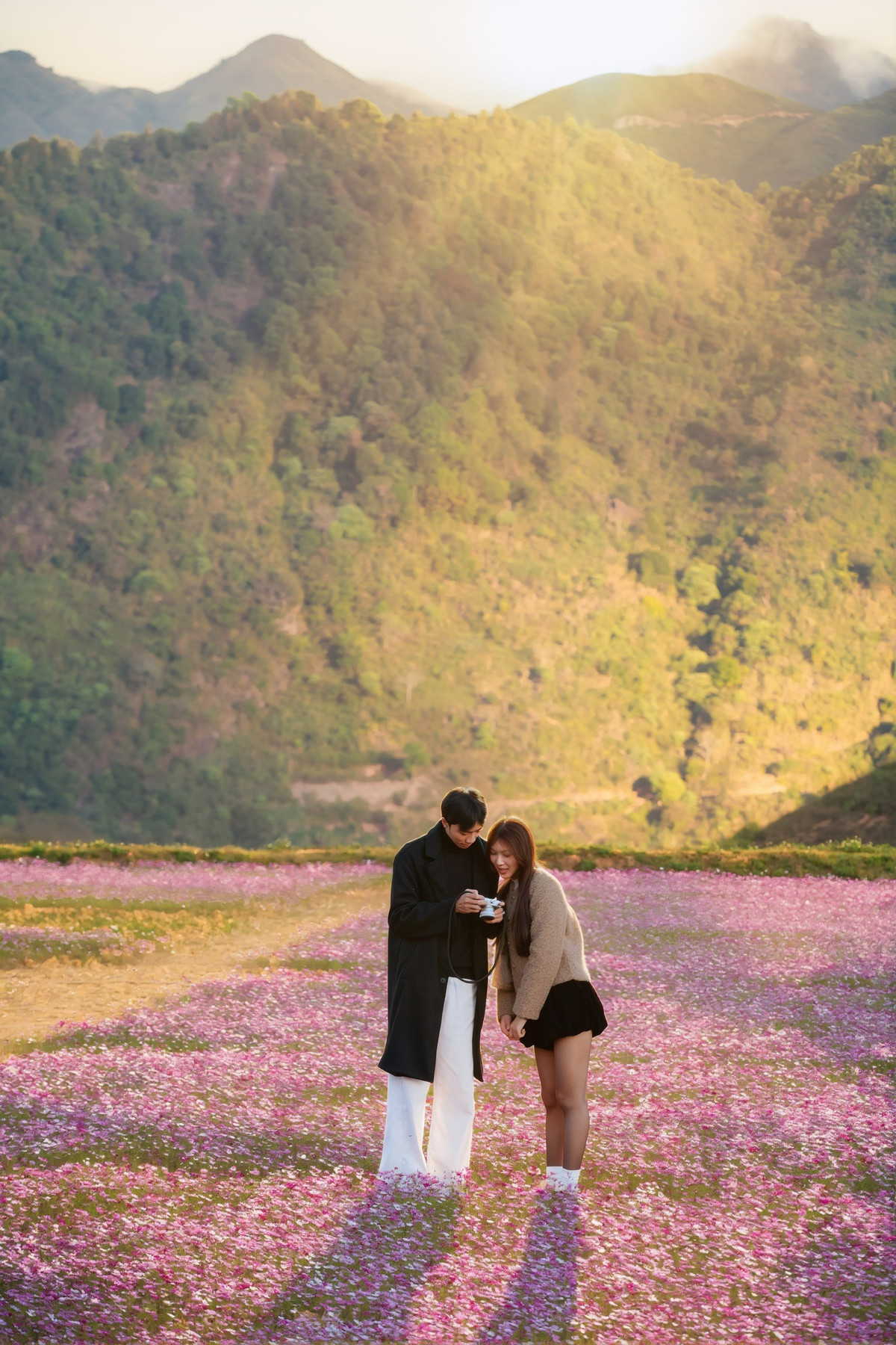 Tuy nhiên, thay vì chen chúc trên các điểm săn mây quen thuộc, nhiều du khách lựa chọn ghé thăm đồi hoa vào buổi chiều để tận hưởng trọn vẹn khung cảnh yên bình, sau đó sáng hôm sau mới lên lịch săn mây.