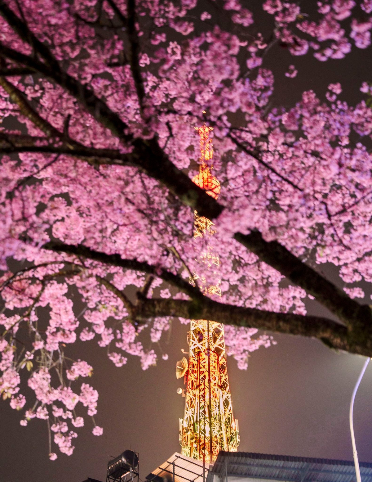 Ngoài đường Trần Phú, du khách có thể tìm những góc chụp hướng thẳng về phía tháp từ các tuyến đường lân cận như Nhà Chung, Nguyễn Chí Thanh, Hồ Tùng Mậu, Trần Quốc Toản (khu vực hồ Xuân Hương) hoặc khu Hòa Bình. Mỗi vị trí mang đến một bố cục khác nhau, từ khung cảnh đô thị sầm uất đến những khoảng không gian thoáng đãng, nhiều cây xanh.