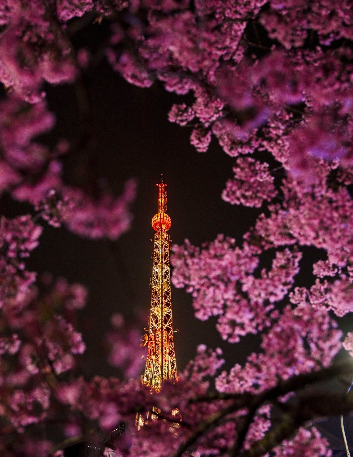 Trong một số trường hợp, thời gian bật tắt đèn có thể thay đổi sớm hoặc muộn hơn; đôi khi đèn vẫn sáng vào ngày trong tuần hoặc có tuần không bật do quy định vận hành riêng.