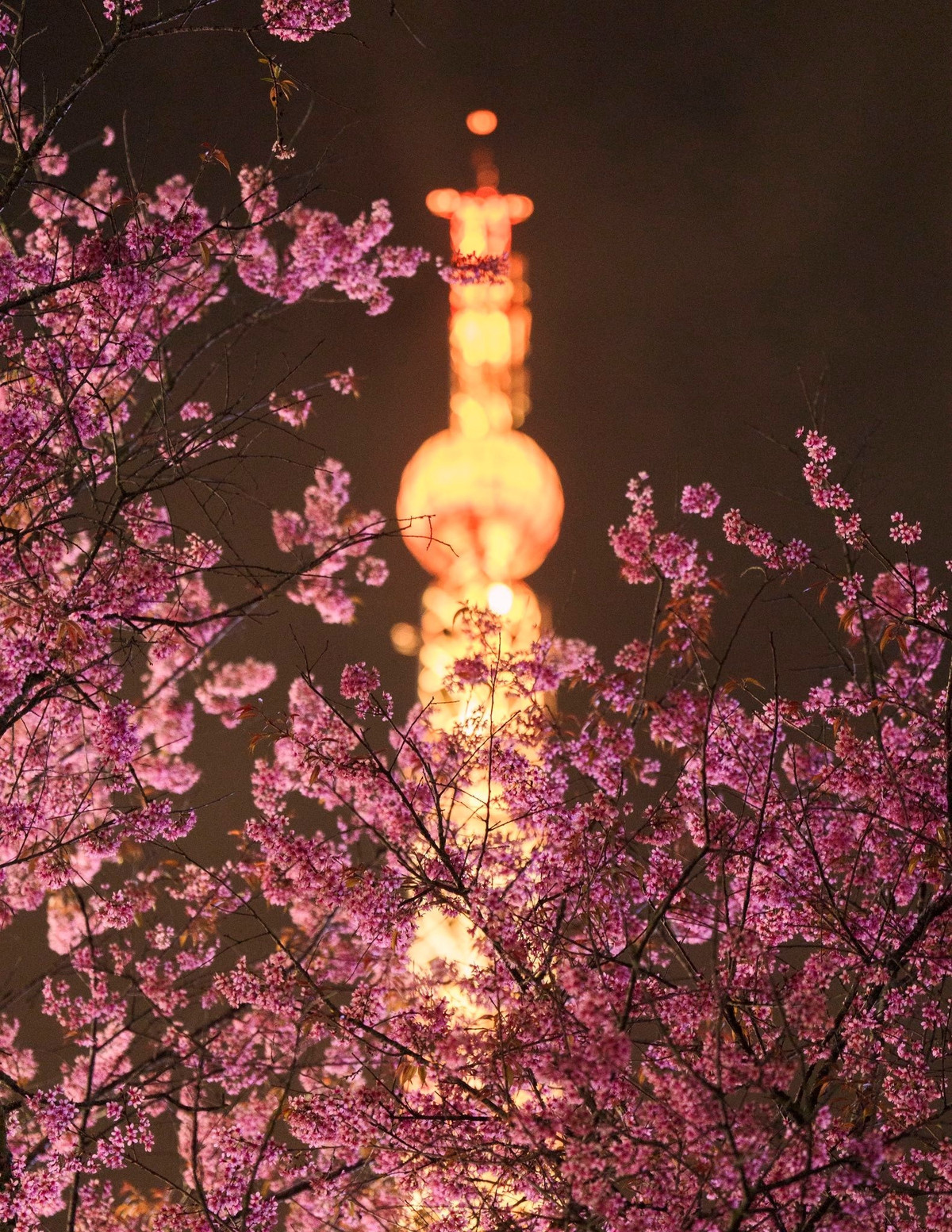 Cấu trúc tháp được ghép từ nhiều thanh sắt, phần chân rộng và thu dần về phía đỉnh. Khi hệ thống chiếu sáng được bật lên, toàn bộ thân tháp ánh lên sắc vàng ấm, nổi bật trên nền trời đêm Đà Lạt, đặc biệt khi được bao quanh bởi những tán mai anh đào đang vào mùa nở rộ.