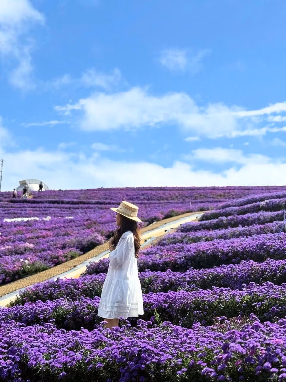 Du khách có thể thong thả tản bộ, hít hà hương cỏ cây, dừng chân ở những trạm ngắm cảnh để nhìn bao quát toàn vùng Geochang trong làn sương mỏng. Ảnh Global