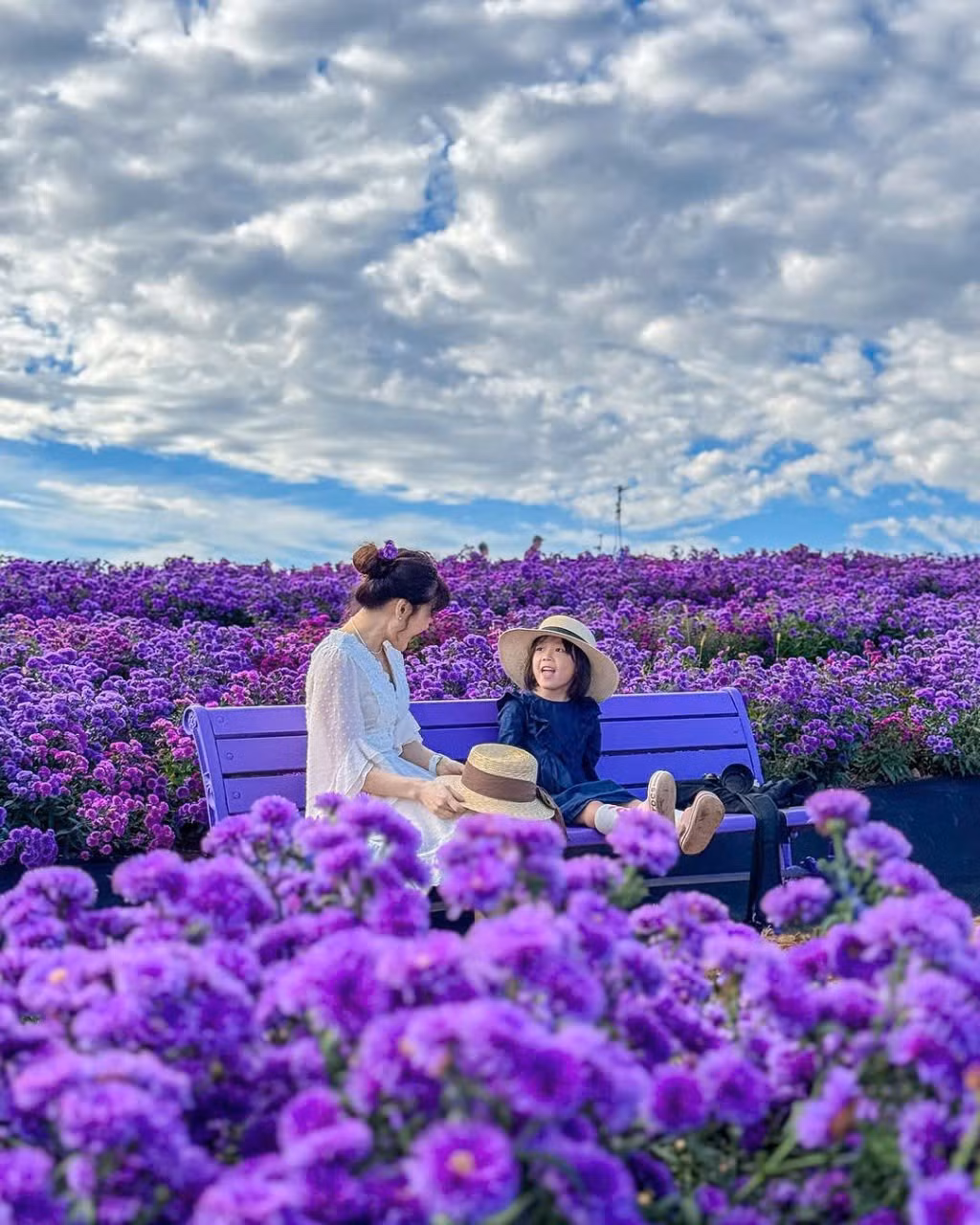 Khác với vẻ sôi động của những điểm du lịch trung tâm như Seoul hay Busan, Gamaksan mang đến cảm giác bình yên hiếm có. Ảnh Global