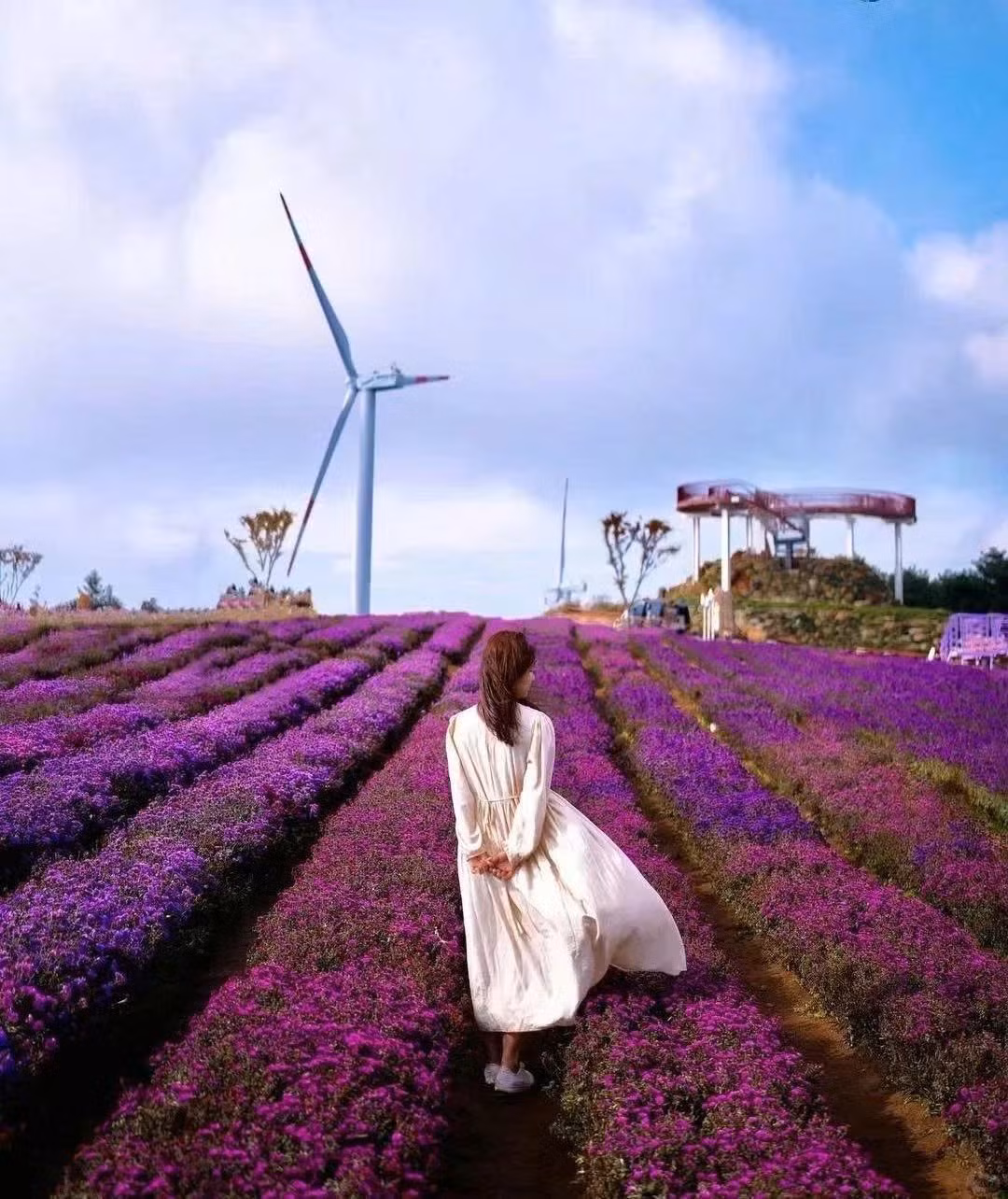 Nếu không quen đường núi hoặc không có thời gian lên kế hoạch chi tiết, du khách nên chọn tour trọn gói của các công ty lữ hành Hàn Quốc hoặc Việt Nam. Tour thường bao gồm xe đưa đón từ Seoul, hướng dẫn viên, bữa trưa và vé vào cổng, giúp hành trình nhẹ nhàng, an toàn và tiết kiệm thời gian. Ảnh Global