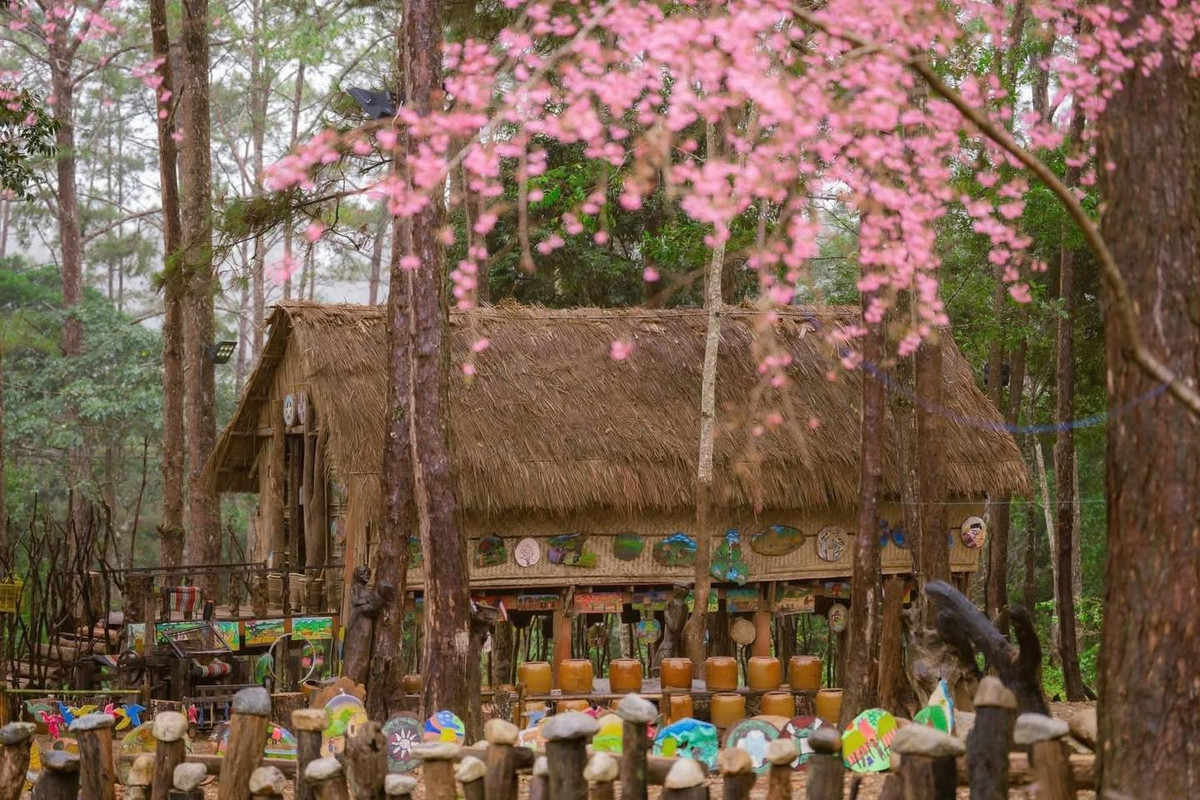 Đặc biệt, lễ hội đường phố xuân tổ chức vào mùng 3 Tết trở thành điểm nhấn với các màn diễu hành, biểu diễn nghệ thuật truyền thống, tái hiện nét đẹp văn hóa Tây Nguyên. Âm vang cồng chiêng ngân lên giữa núi rừng đại ngàn khiến không khí đầu xuân thêm thiêng liêng và ấn tượng. Ảnh Du lịch Măng Đen