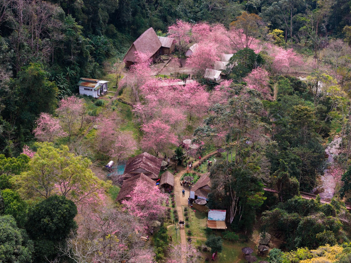 Không ồn ào, náo nhiệt như nhiều điểm đến nổi tiếng khác, Măng Đen mang đến cho du khách một cái Tết an yên giữa thiên nhiên trong lành và không gian văn hóa đậm đà bản sắc. Ảnh Măng Đen Chill