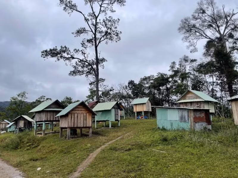 Bên cạnh Vi Rơ Ngheo, làng Kon Tu Ma cũng là điểm dừng chân yên bình khi đến Măng Đen. Bản làng gây ấn tượng với những ngôi nhà sàn “siêu nhỏ” bằng tre, gỗ nằm rải rác từ ngoài đồng đến bìa đồi. Không gian nơi đây tĩnh lặng, chậm rãi, thích hợp cho những ai muốn tạm rời xa nhịp sống hối hả để tìm lại sự cân bằng. Ảnh Haidangtravel