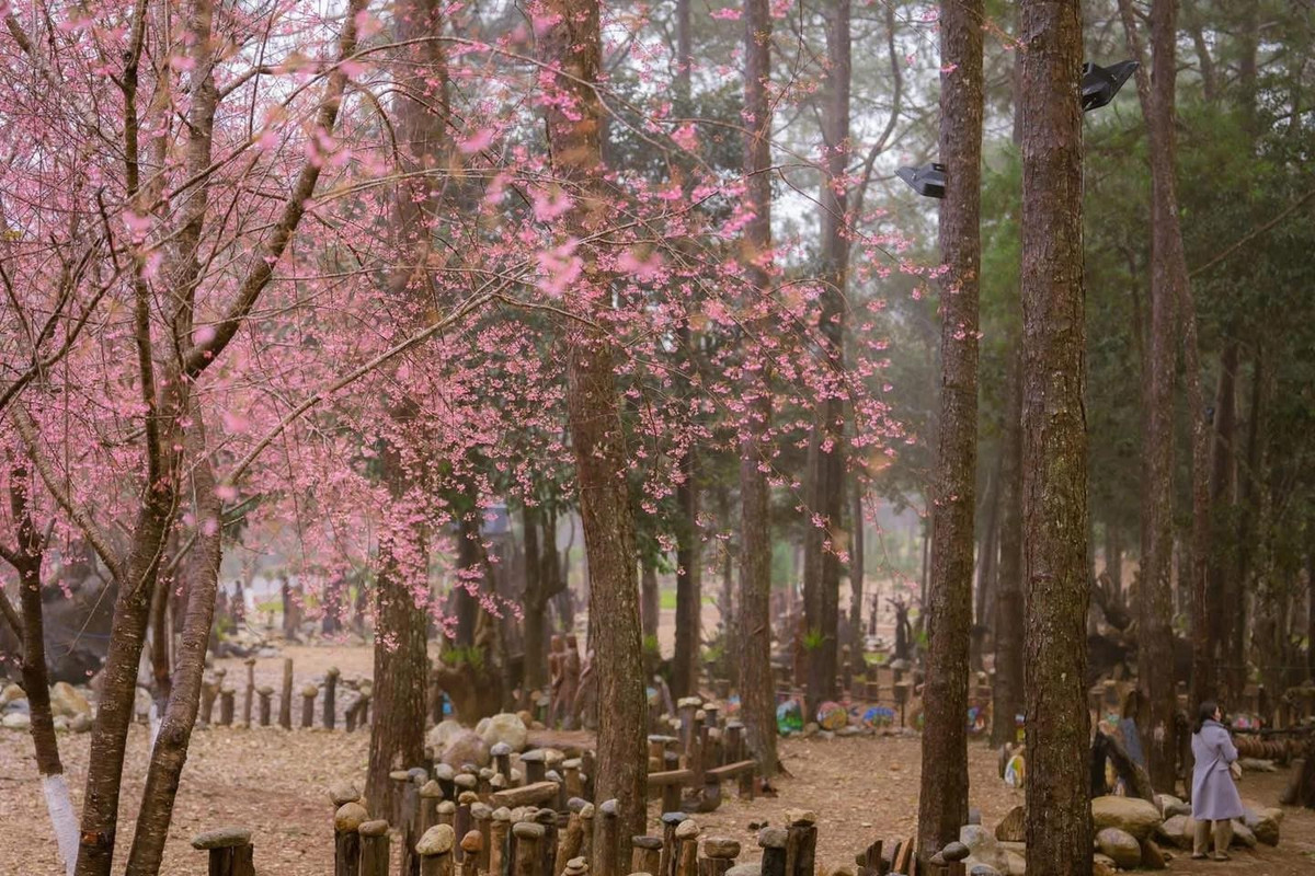 Với những ai yêu thích vận động và khám phá, các cung đường leo núi quanh làng là lựa chọn lý tưởng trong những ngày đầu xuân. Giữa bạt ngàn rừng xanh, sắc địa lan và đỗ quyên rừng khoe mình trong nắng sớm tạo nên khung cảnh vừa hoang sơ vừa thơ mộng, đủ để níu chân bất kỳ người lữ khách nào. Ảnh Du lịch Măng Đen