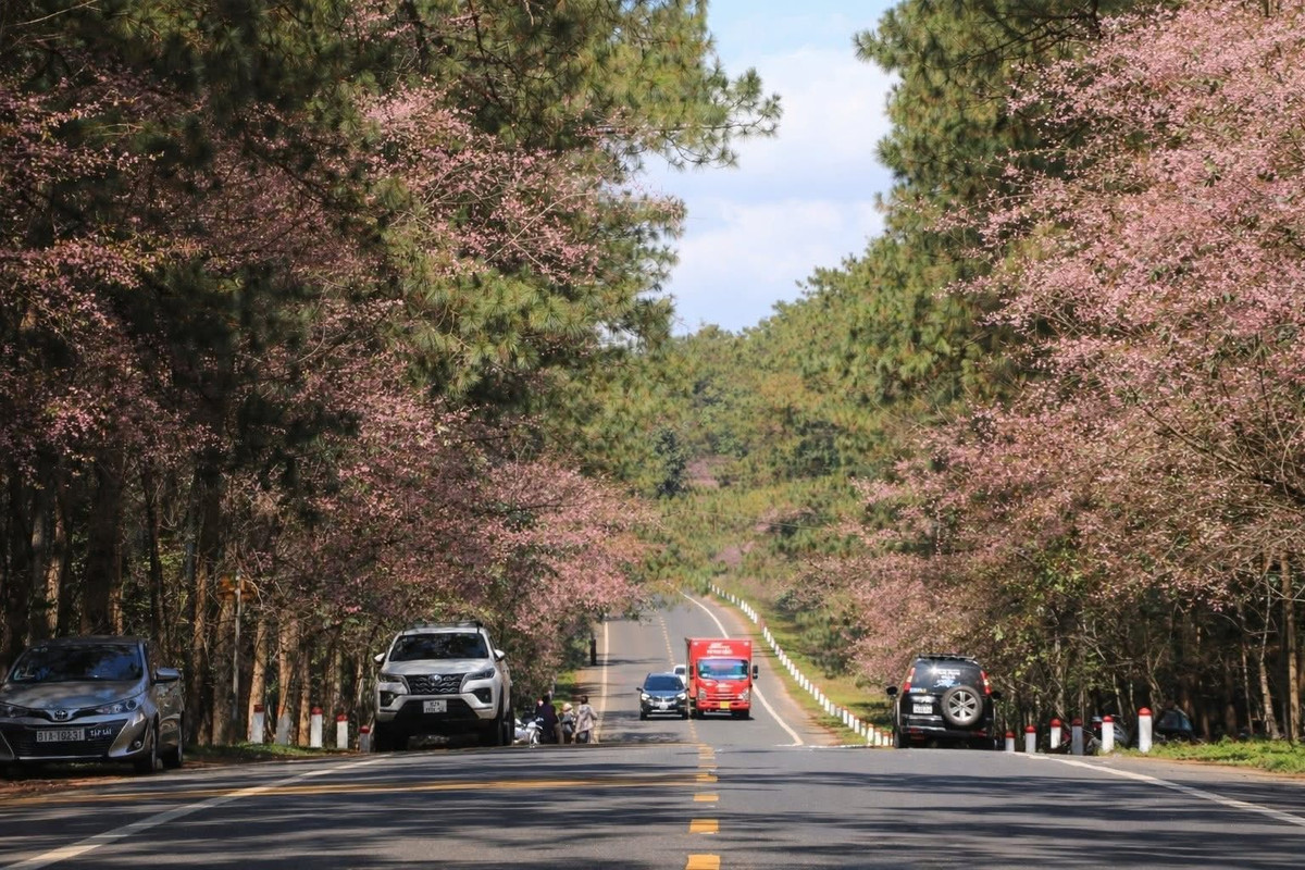 Giữa nhịp sống hiện đại, Măng Đen vẫn giữ được nét nguyên sơ hiếm có. Tết ở đây không chỉ là hành trình thưởng ngoạn cảnh sắc mai anh đào rực rỡ, mà còn là chuyến trở về với thiên nhiên, văn hóa và những giá trị truyền thống bền vững. Ảnh Man Trip