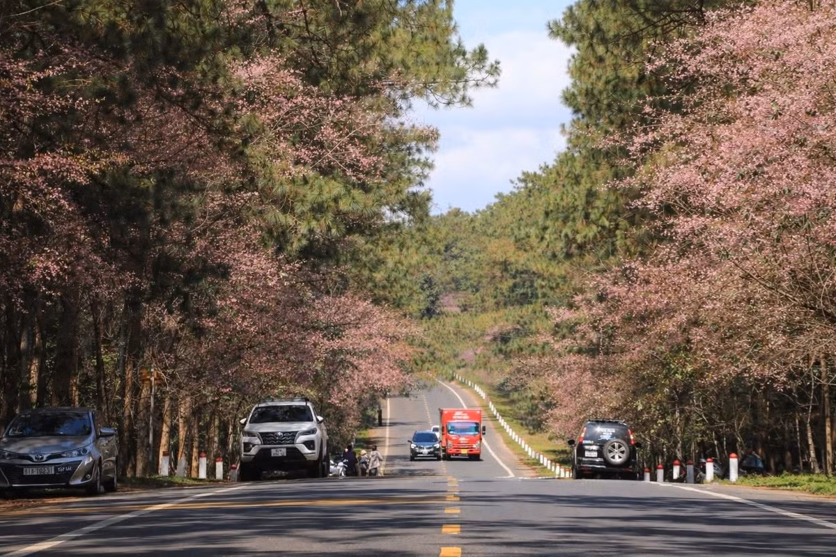 Giữa nhịp sống hiện đại, Măng Đen vẫn giữ được nét nguyên sơ hiếm có. Tết ở đây không chỉ là hành trình thưởng ngoạn cảnh sắc mai anh đào rực rỡ, mà còn là chuyến trở về với thiên nhiên, văn hóa và những giá trị truyền thống bền vững. Ảnh Man Trip