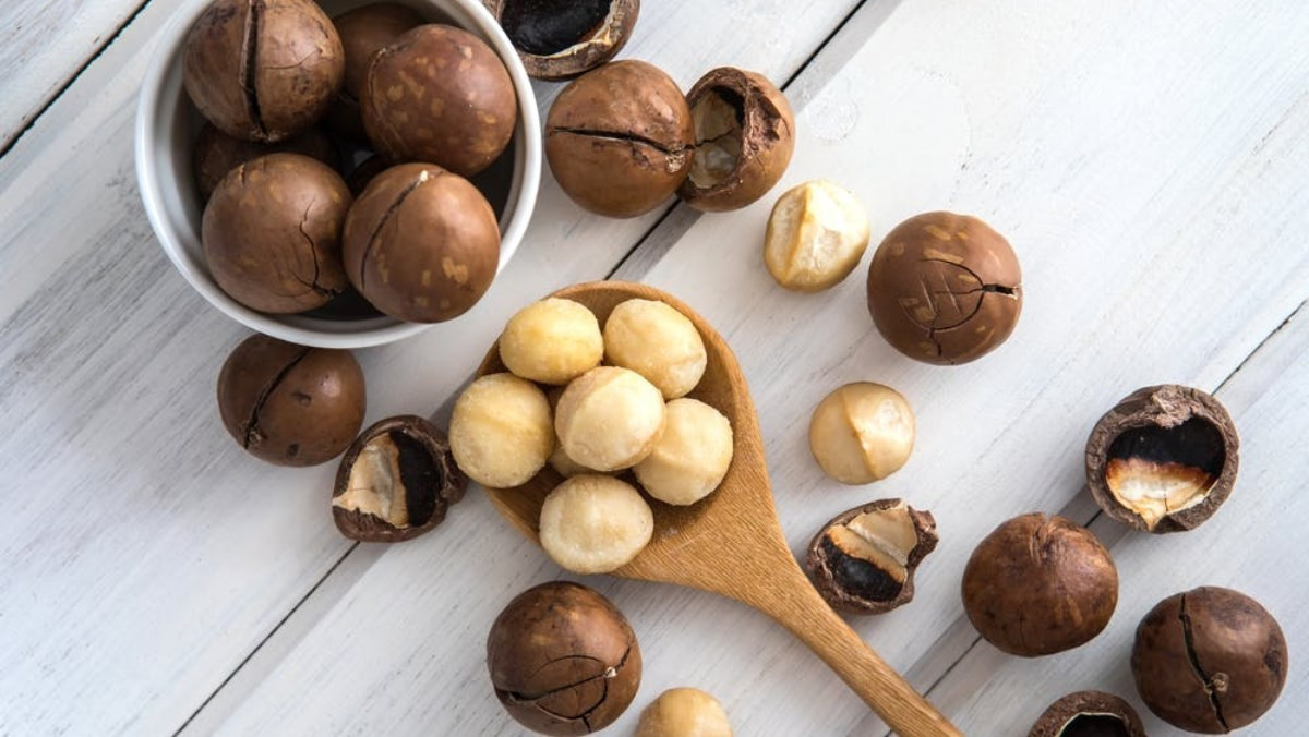 Sau khi thu hoạch, mắc ca thường được sấy khô, tách vỏ hoặc đóng gói hút chân không. Trên thị trường, sản phẩm được bán dưới nhiều dạng như hạt sấy nguyên vỏ hoặc nhân mắc ca đã tách vỏ. Ảnh Interrnet