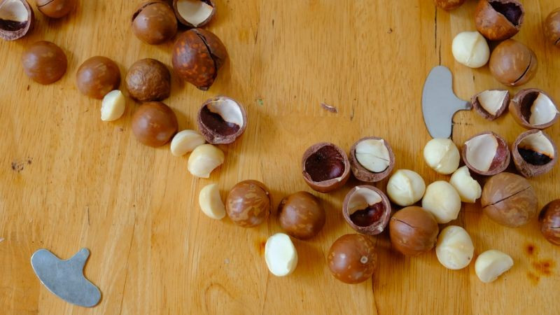 Nhờ thành phần dinh dưỡng phong phú, mắc ca được cho là có thể hỗ trợ sức khỏe tim mạch, cải thiện hệ tiêu hóa và cung cấp năng lượng cho cơ thể. Ảnh BHX