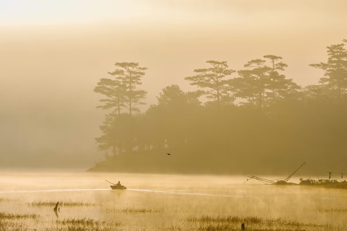 Giữa màn sương giăng buổi sớm, Suối Tía hiện lên như một bức tranh ma mị, nơi những hàng cây soi bóng xuống mặt nước tĩnh lặng, những ngư phủ trầm ngâm cùng chiếc thuyền nhỏ, tạo nên khung cảnh tựa phim kiếm hiệp. Ảnh Thu Trang