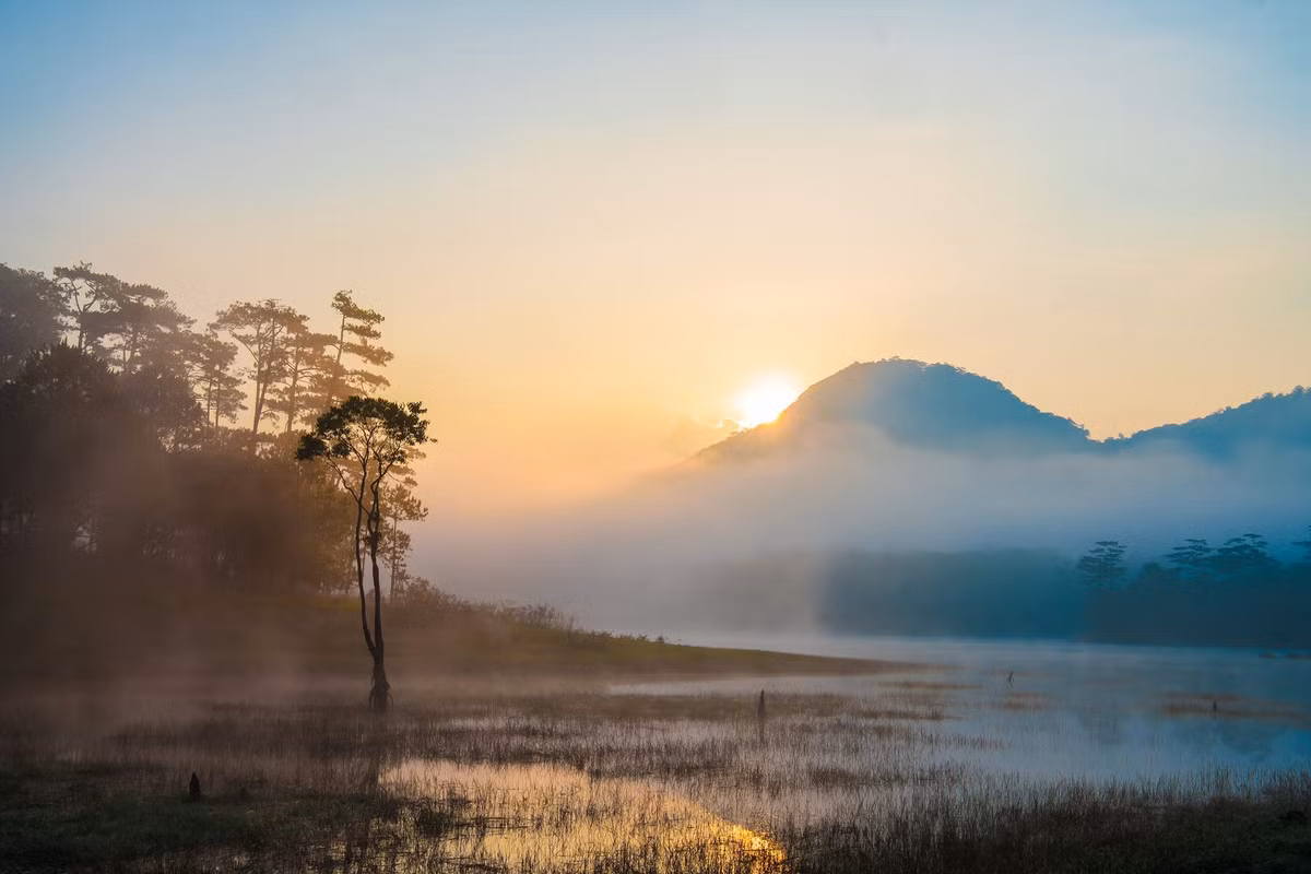Nằm cách trung tâm Đà Lạt chỉ khoảng 5 km, Suối Tía là nơi khởi nguồn dòng nước trong xanh đổ vào hồ Tuyền Lâm – hồ nước ngọt lớn nhất Lâm Đồng, nơi sông suối và núi rừng giao hòa, mang vẻ đẹp vẹn nguyên như hồ ngọc giữa rừng thông thuở ban sơ. Ảnh Thu Trang