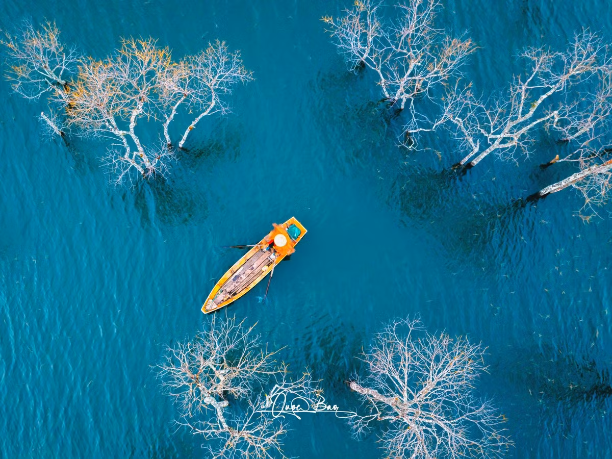 Khi sương mỏng bốc lên từ mặt hồ, khung cảnh Suối Tía trở thành “cõi thiên thai”, khiến bất kỳ du khách nào cũng muốn lưu giữ những khoảnh khắc thi vị. Ảnh Quốc Bảo