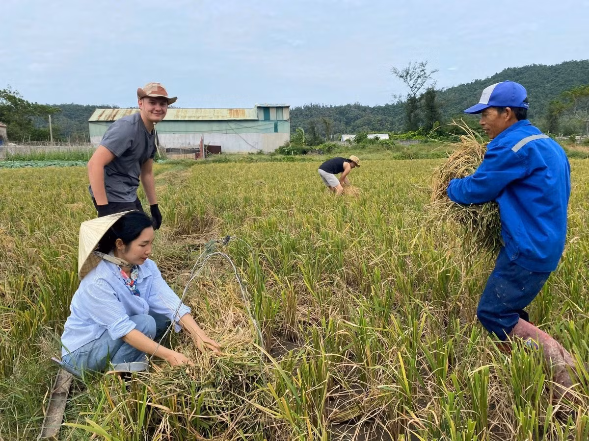 Cô Tô có hơn 50 đảo lớn nhỏ với kết cấu địa chất đặc biệt. Đặc khu gồm hai quần đảo có cư dân tập trung là Cô Tô Lớn và Thanh Lân, trong khi Cô Tô Nhỏ nằm ở phía Đông Bắc Cô Tô Lớn và Tây Bắc Thanh Lân, tạo thành một hệ đảo tam giác. Một số hòn đảo đẹp khác bao gồm đảo Cá Chép, đảo Đông Nam, đảo Sư Tử, đảo Hòn Ngang, đảo Bảy Sao hay đảo Vàng Cháu. Ảnh TapchidulichTPHCM