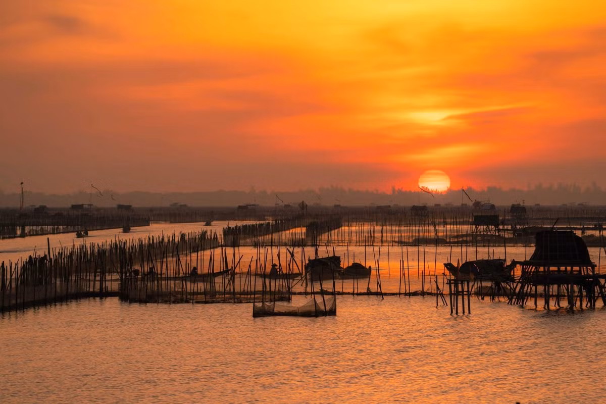 Với những ai đam mê nhiếp ảnh, nên sạc đầy pin máy ảnh, mang theo ống kính góc rộng để bắt trọn khung cảnh hùng vĩ của phá khi mặt trời lên. Ngoài ra, du khách có thể tranh thủ hỏi người dân địa phương để mua hải sản tươi sống ngay tại bến thuyền – vừa rẻ, vừa chất lượng. Ảnh Bùi Văn Hải