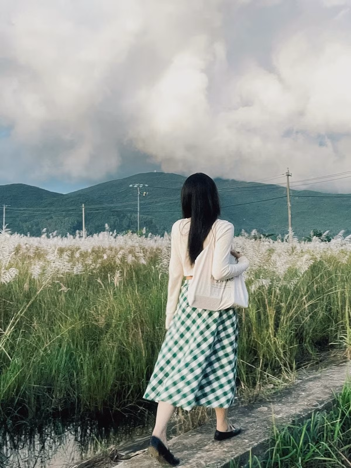 Những ngày gần đây, các khu vực cỏ lau liên tục đón lượng lớn người đến tham quan. Nhiều nhóm bạn trẻ lựa chọn váy áo nhẹ nhàng, tông sáng để hòa mình vào không gian thơ mộng; những cặp đôi chụp ảnh kỷ niệm; các gia đình dắt theo trẻ nhỏ picnic và lưu giữ khoảnh khắc cuối năm. Ảnh jessengwen