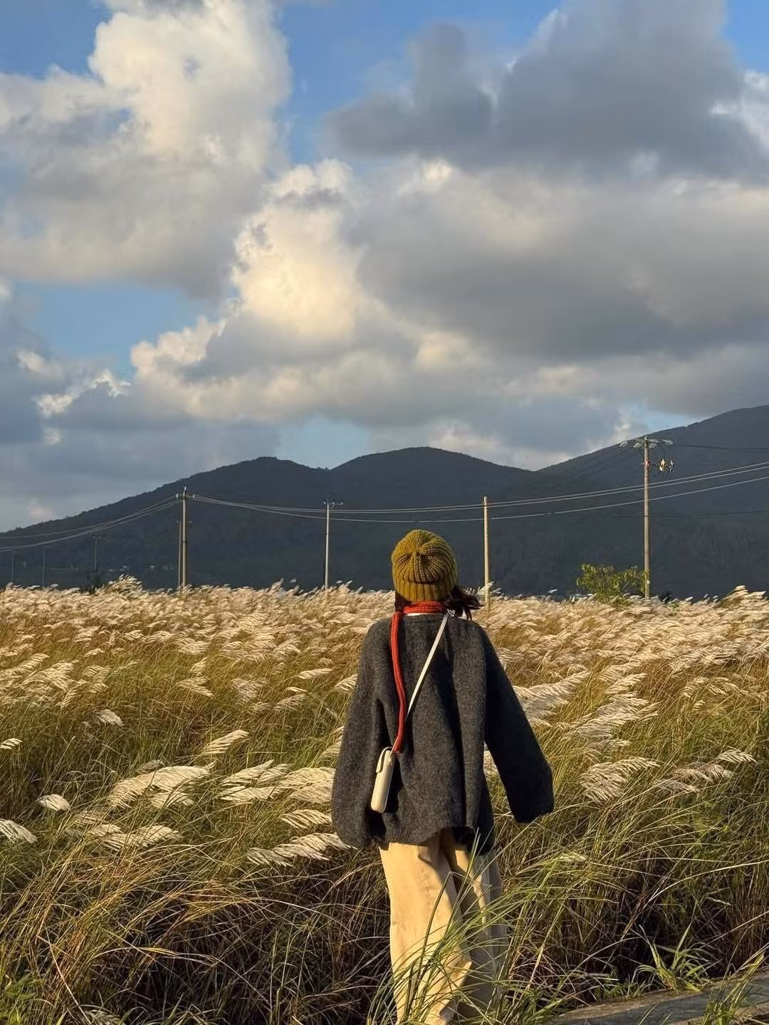 Không chỉ đẹp, cỏ lau còn mang theo thông điệp thời tiết của vùng đất miền Trung. Theo kinh nghiệm dân gian, khi lau nở rộ cũng là lúc mùa mưa bão khép lại, nhường chỗ cho tiết trời lạnh và hanh khô. Bởi vậy sắc trắng của lau khiến nhiều người cảm thấy hân hoan – như dấu hiệu báo hiệu một mùa mới đang về. Ảnh i.yaubh_