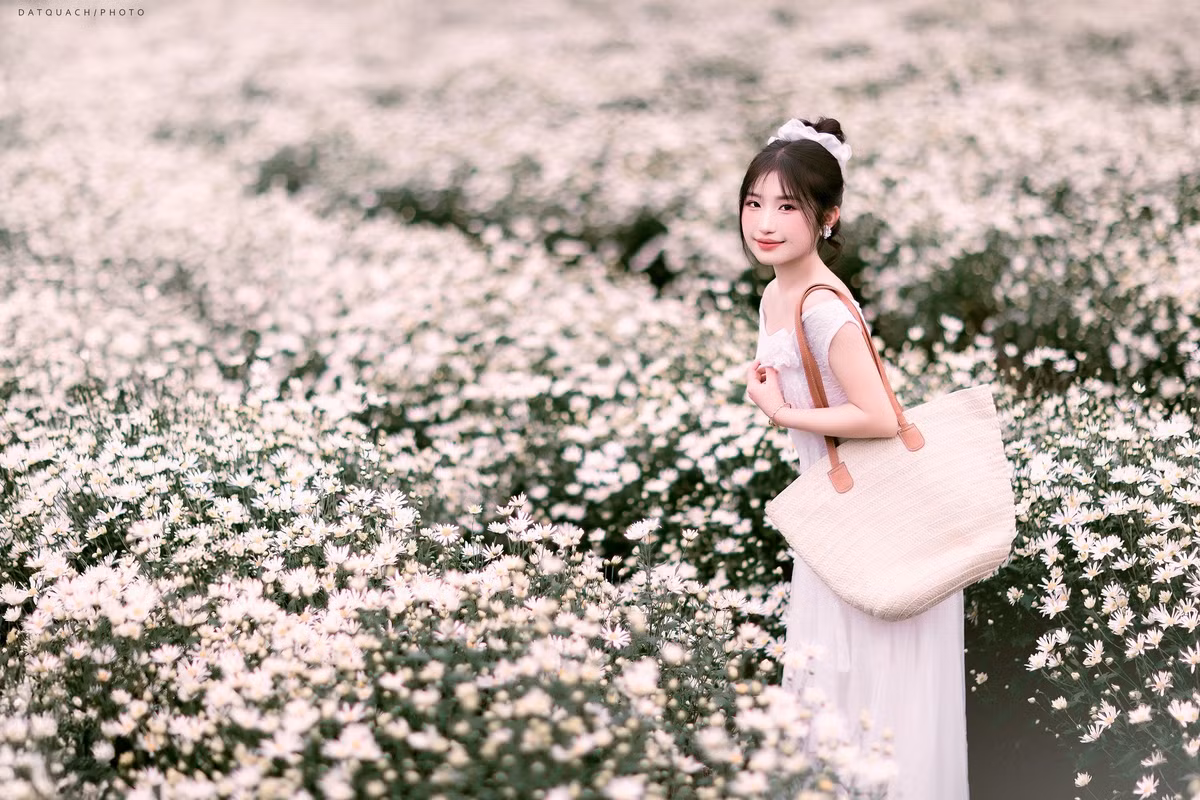 Giữa không gian rộng mở, trời trong xanh và gió lạnh phảng phất, sắc trắng thuần khiết của loài hoa nhỏ bé ấy như thắp lên sự bình yên, khiến người ta muốn ở lại thật lâu, ngắm thêm chút nữa rồi khẽ thả mình vào vẻ đẹp rất Mộc Châu – một vẻ đẹp dịu dàng, thanh sạch và đầy sức sống. Ảnh Dat Quach