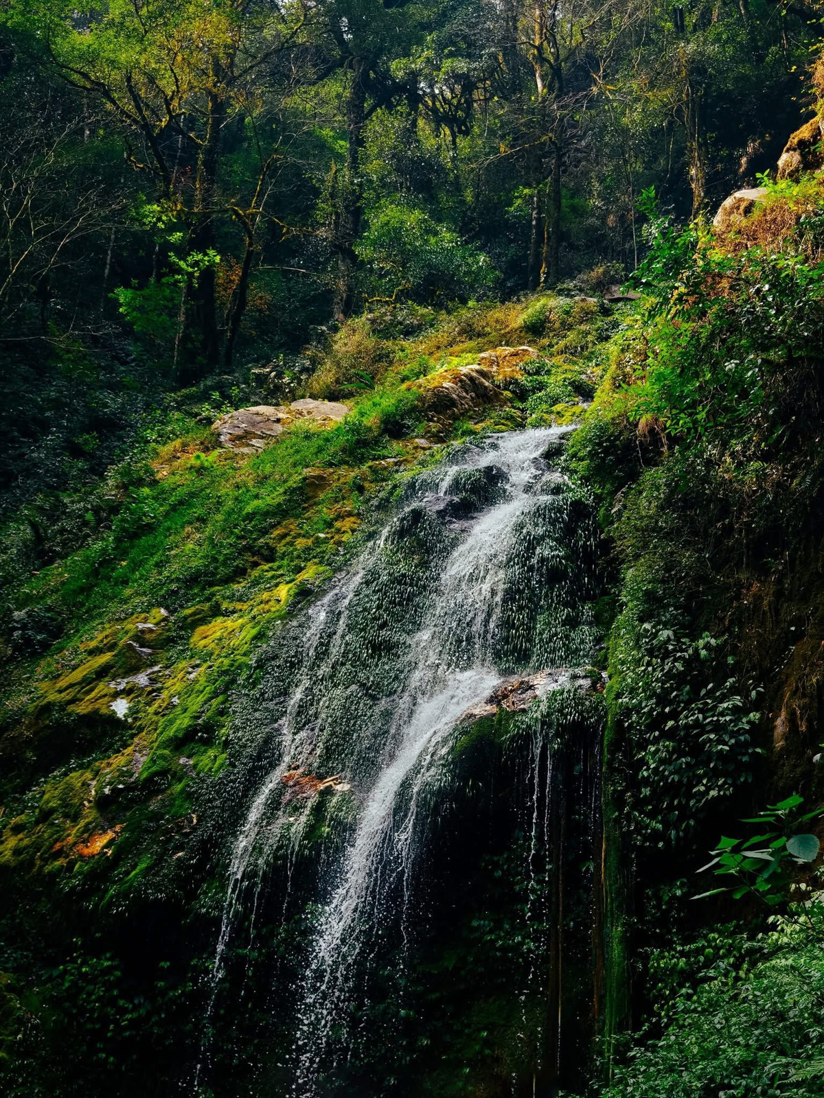 Hành trình tiếp theo là 10km leo dốc với độ cao tăng dần, khi thì băng qua rừng trúc, khi lại men theo triền núi phủ đầy rêu xanh. Cung đường không quá dài, song đòi hỏi thể lực và sự kiên trì, bởi thời tiết thay đổi thất thường và địa hình nhiều đoạn trơn trượt.