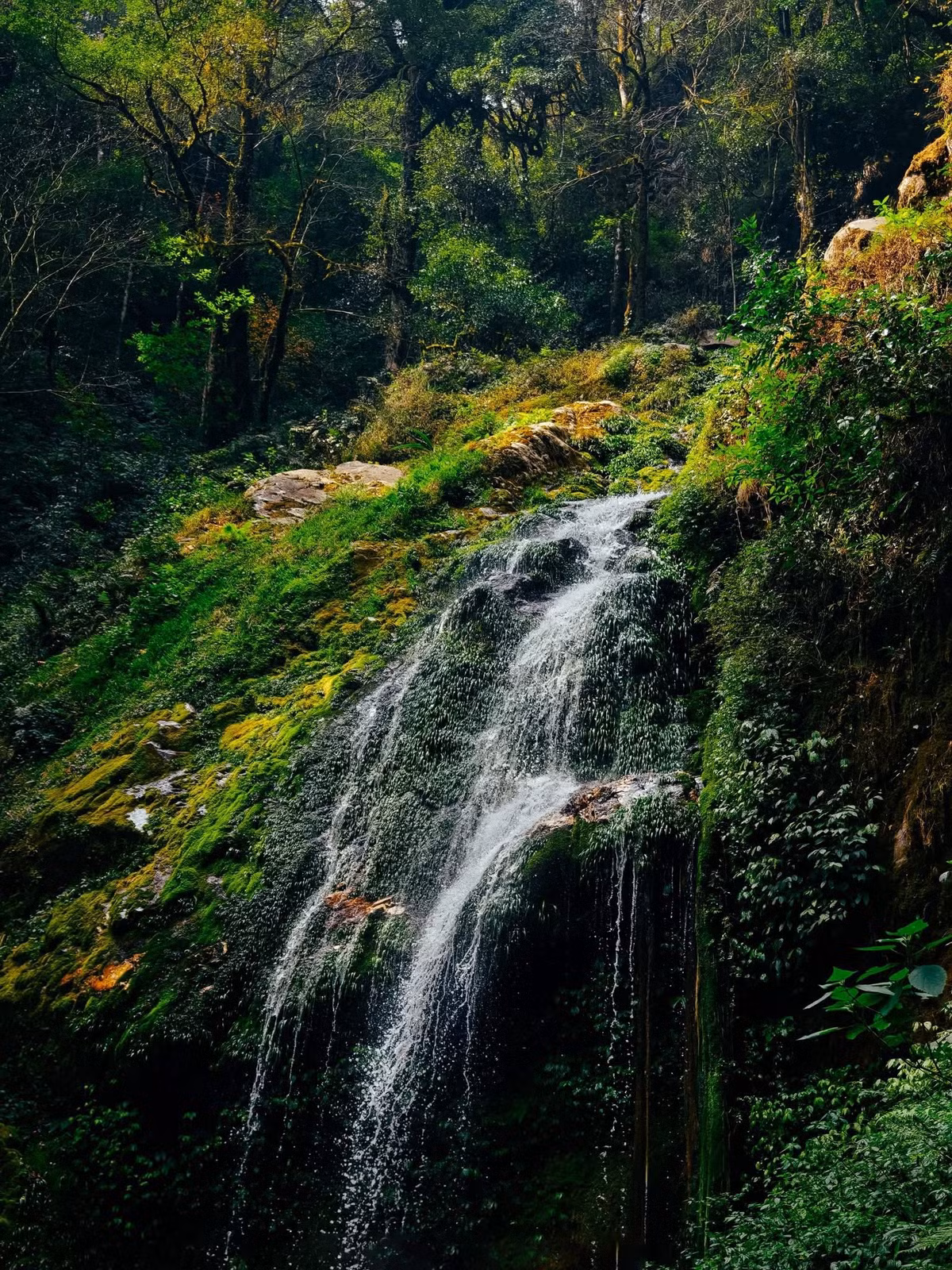 Hành trình tiếp theo là 10km leo dốc với độ cao tăng dần, khi thì băng qua rừng trúc, khi lại men theo triền núi phủ đầy rêu xanh. Cung đường không quá dài, song đòi hỏi thể lực và sự kiên trì, bởi thời tiết thay đổi thất thường và địa hình nhiều đoạn trơn trượt.