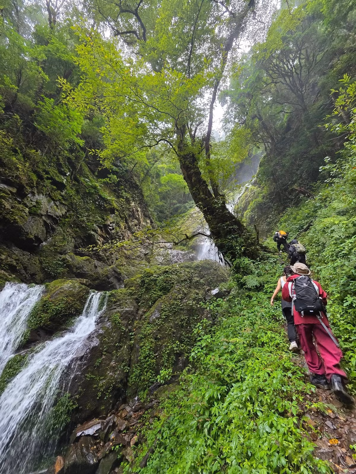 Không hùng vĩ và đông đúc như Fansipan, Lùng Cúng mang trong mình vẻ đẹp nguyên sơ, hoang dã và là điểm đến yêu thích của những du khách đam mê trekking, tìm kiếm sự thử thách giữa núi rừng. Ảnh Xuân Chờ