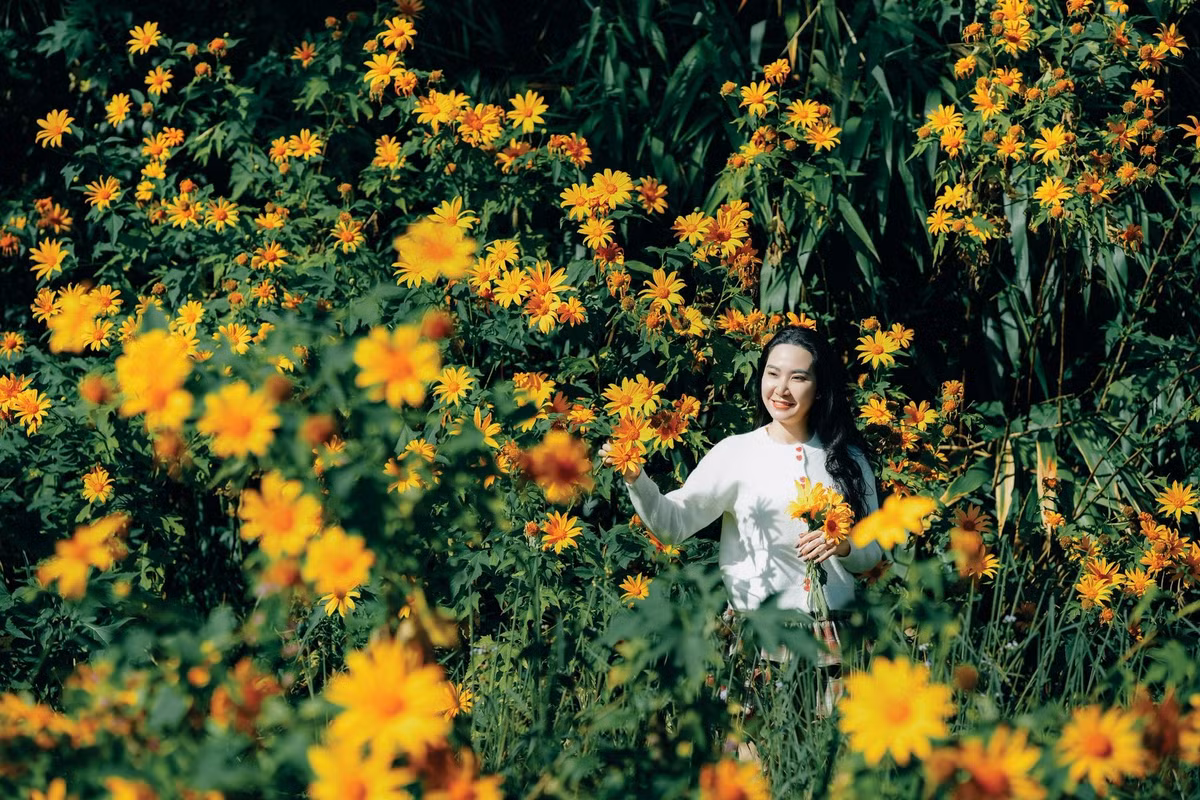 Những bụi hoa giản dị ven sườn đồi, hai bên đường hay cạnh hồ nước bung nở, tạo nên khung cảnh lung linh, thơ mộng giữa nắng cuối thu. Ảnh Đồng Ngô