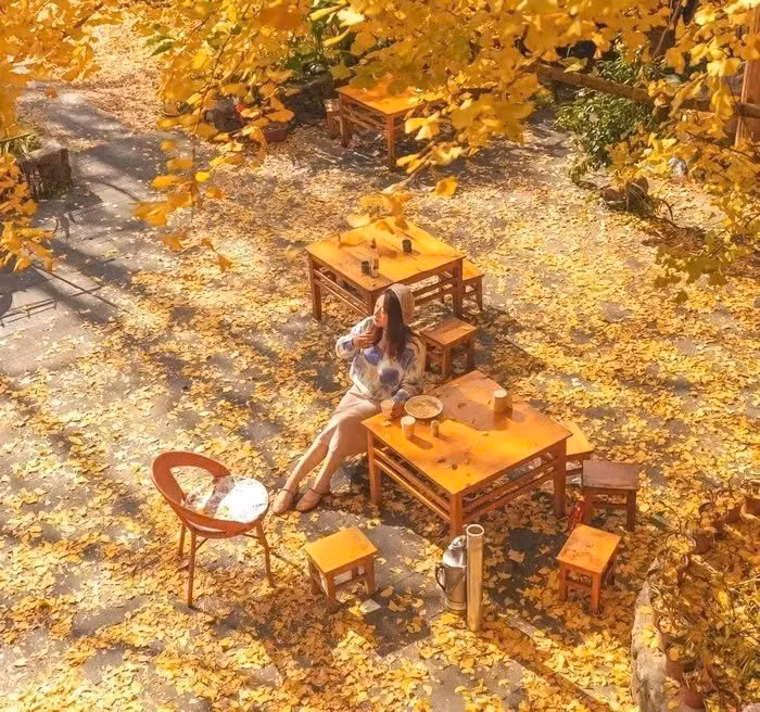 Ngoài ra, các tour ngắn 5 ngày 4 đêm khác của Dulichtrungquocotrip hay Đông Anh Travel tập trung khai thác vẻ đẹp đặc trưng của Đằng Xung và những làng cổ gần kề, phù hợp với du khách muốn trải nghiệm trọn vẹn nhưng thời gian hạn chế. Ảnh PYS Travel