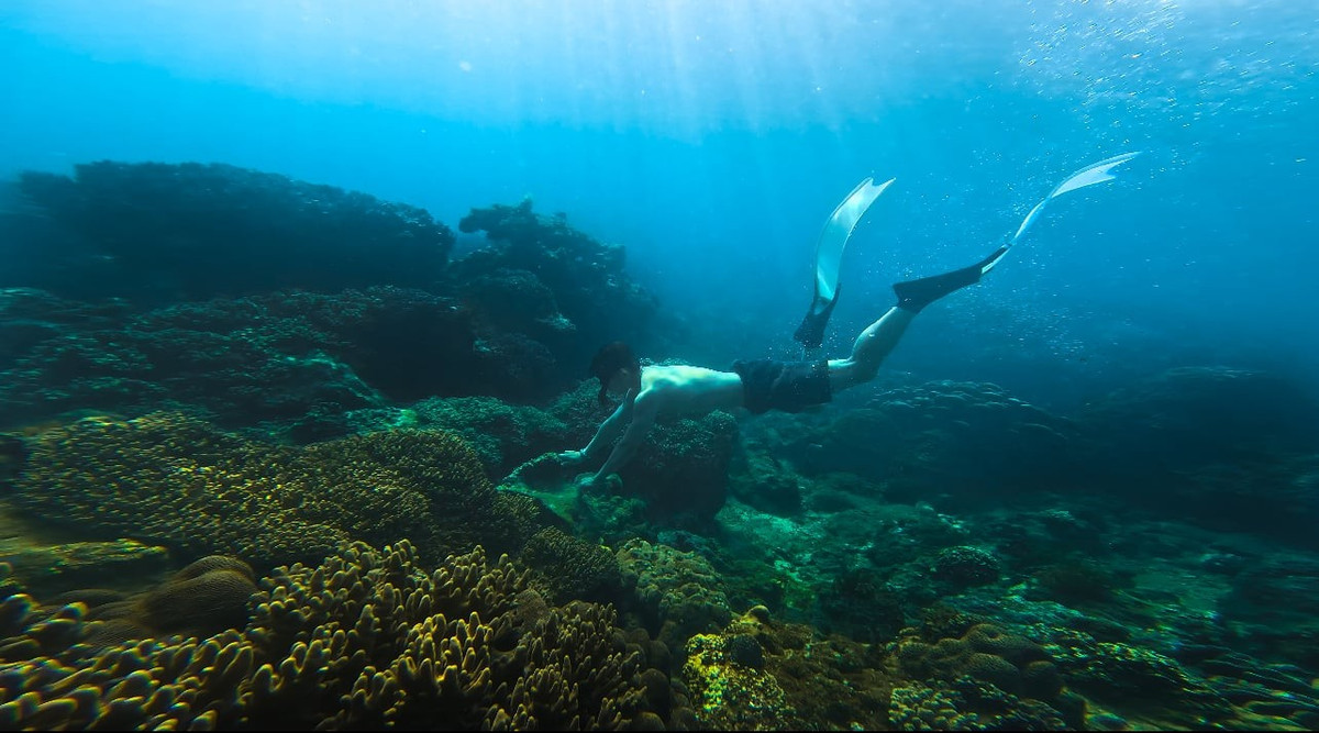 Bảo vệ san hô Bãi Dứa không chỉ là giữ gìn một cảnh quan thiên nhiên độc đáo mà còn góp phần bảo tồn nguồn sống của biển Quy Nhơn cho thế hệ mai sau. Ảnh Vntravellive