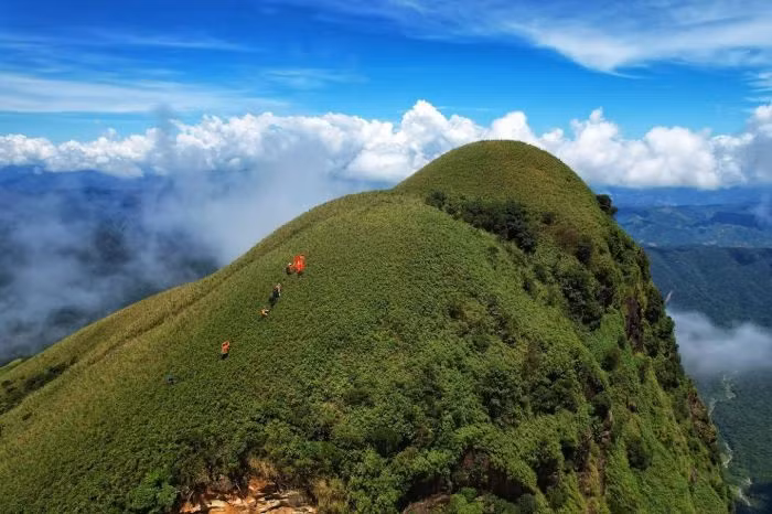 Không chỉ có mây, rừng nguyên sinh quanh khu vực Pa Thiên – Voi Mẹp còn là kho báu sinh học quý, nơi sinh sống của nhiều loài chim, thú và thảm thực vật đặc hữu của dãy Trường Sơn. Mỗi bước chân giữa đại ngàn đều mở ra cảm giác vừa phấn khích, vừa yên bình – như đang đi giữa vùng đất chưa kịp đánh thức. Ảnh Trần Xuân Cường