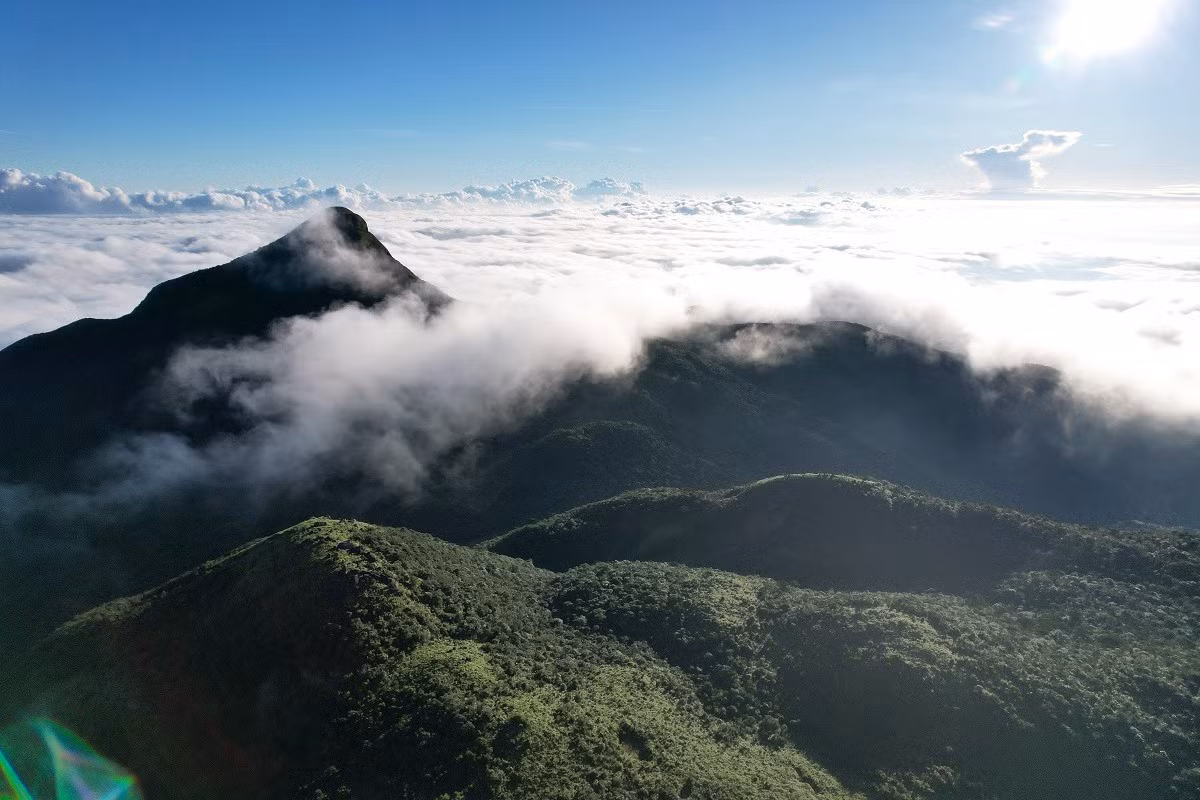 Điểm xuất phát của hành trình thường bắt đầu từ khu vực nguồn Rào – Pin. Từ đây, du khách sẽ phải băng qua quãng đường khoảng 8km men theo những lối mòn nhỏ, ẩm ướt, len lỏi giữa rừng già. Dọc đường là những thân cây phủ đầy rêu xanh, suối đá lạnh ngắt, xen lẫn tiếng chim hót và tiếng gió rì rào. Ảnh Tr. Cương