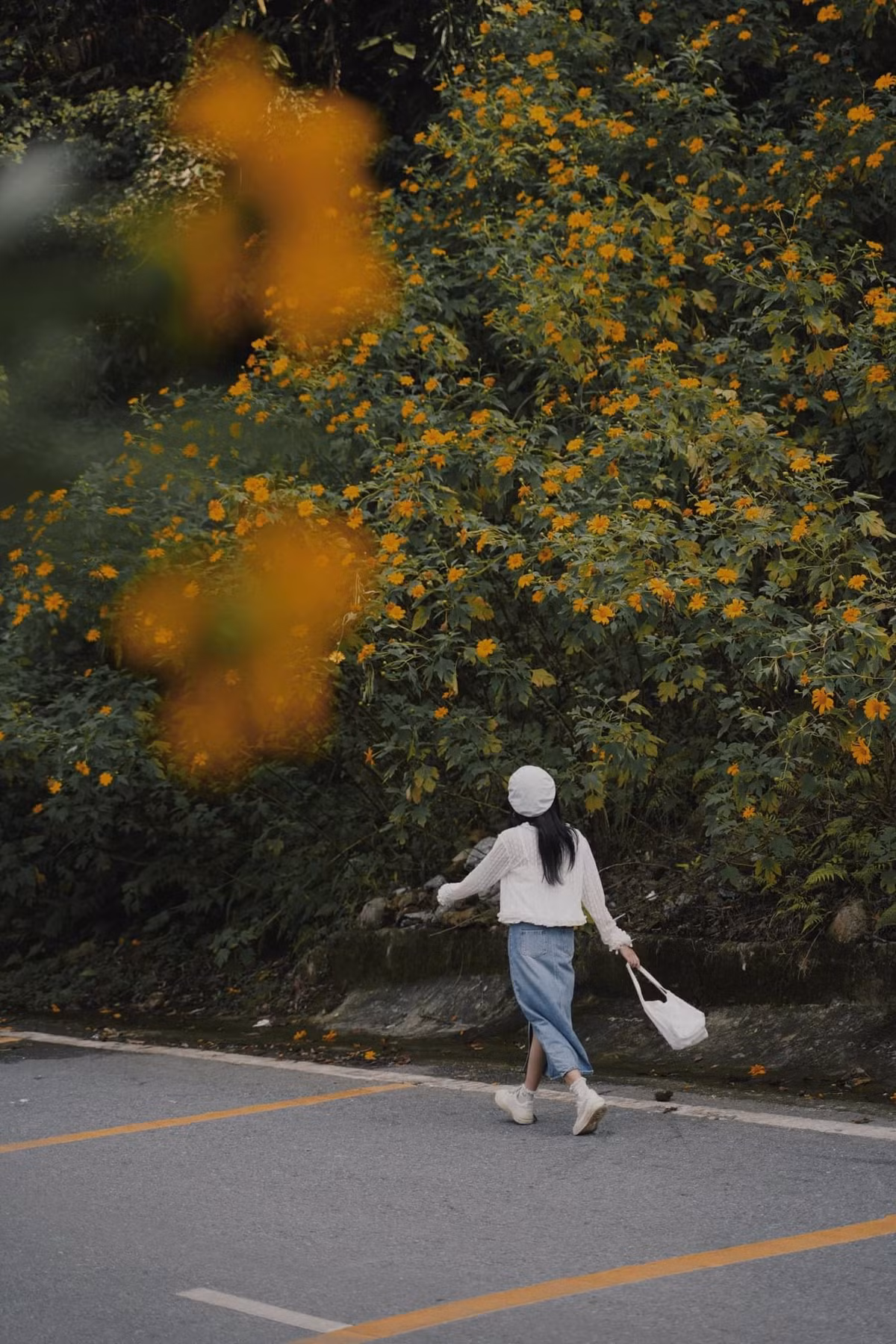 Thời điểm lý tưởng nhất để “săn” hoa là từ 7h đến 9h sáng hoặc sau 15h chiều. Lúc này, ánh nắng nhẹ và không khí mát mẻ khiến sắc vàng của dã quỳ càng thêm rực rỡ. Ảnh Phương Tali