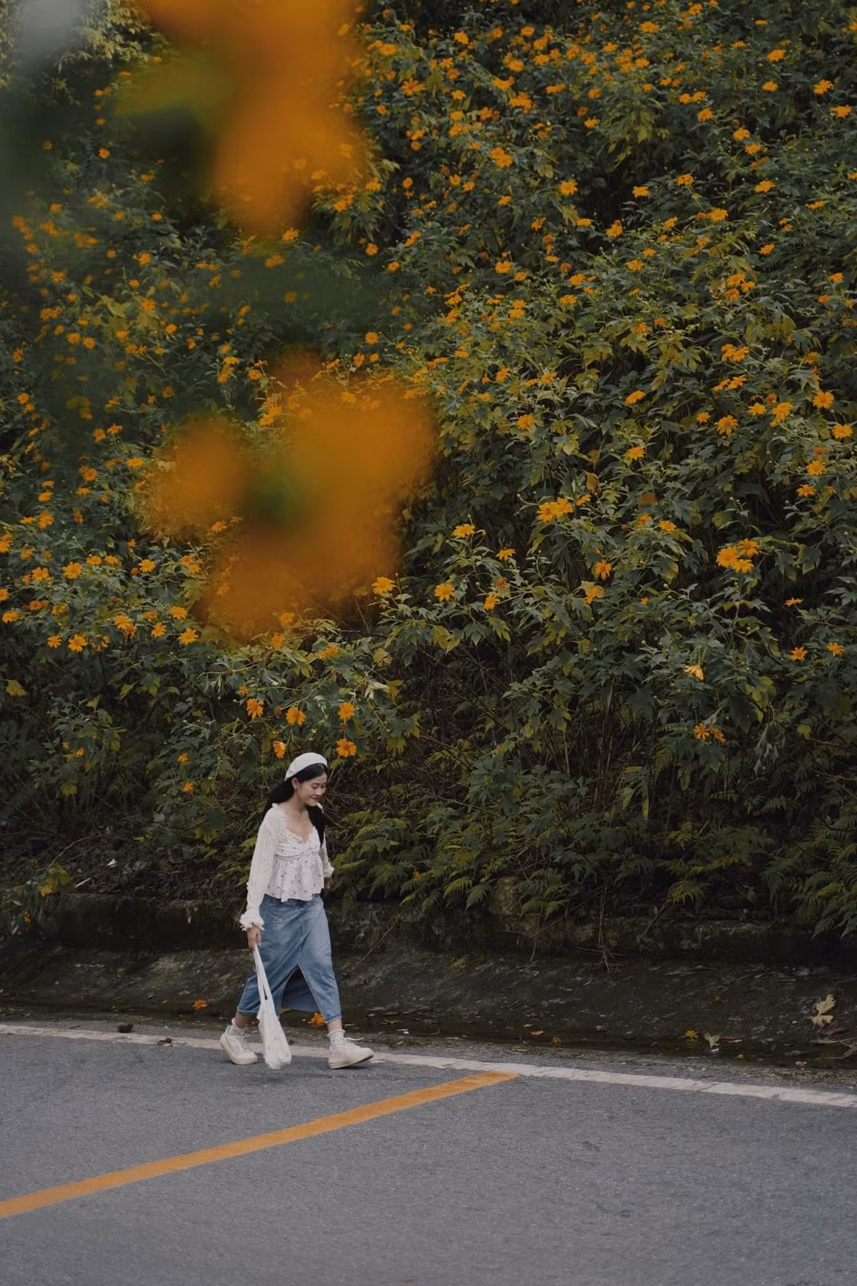 Khi đi sâu hơn vào trong, hoa nở dày đặc, bao trùm cả triền núi, khiến không ít người phải dừng lại để chụp hình, ghi lại khoảnh khắc hiếm có chỉ xuất hiện một lần mỗi năm. Ảnh Phương Tali