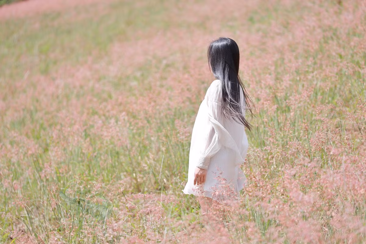 Khi ánh nắng chiếu vào những đỉnh cỏ, từng bông lau ánh lên màu hồng rực rỡ, khiến cả đồi cỏ như bừng sáng, tạo nên khung cảnh thơ mộng, huyền ảo. Ảnh Lê Hùng tour Đà Lạt