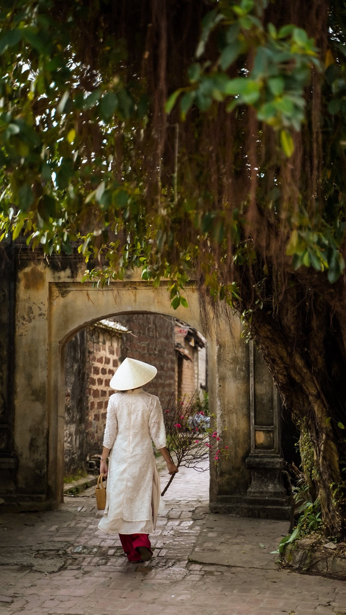 Một trải nghiệm được nhiều du khách yêu thích là thuê xe đạp dạo quanh làng. Hình ảnh tà áo dài bay nhẹ theo từng vòng bánh xe, len qua những con đường gạch cổ, vừa mang lại cảm giác thư thả, vừa giúp tạo nên những khung hình đời thường, gần gũi với sinh hoạt làng quê Bắc Bộ. Sắc hoa, màu lá, gam nâu trầm của đá ong hòa quyện cùng màu áo dài khiến tổng thể bức ảnh trở nên hài hòa, ấm áp.