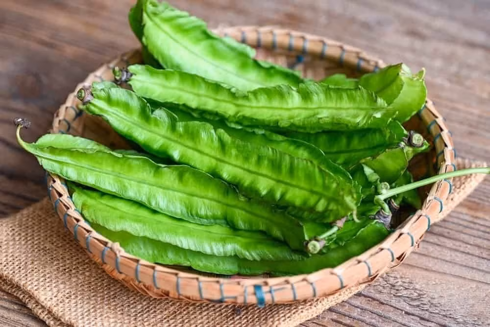 Ngoài ra, quả đậu rồng còn cung cấp 45 microgram axit folic, rất cần thiết cho phụ nữ mang thai. Nhờ những thành phần này, đậu rồng không chỉ bổ dưỡng mà còn mang lại nhiều lợi ích sức khỏe. Ảnh minh họa