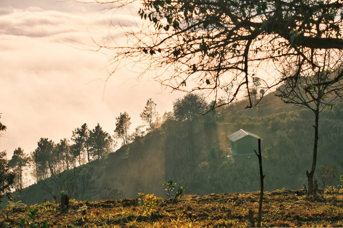 Ngoài săn mây, Tà Xùa còn sở hữu nhiều góc check-in nổi bật như sống lưng khủng long, cây táo mèo trăm tuổi hay những bản làng bình yên nép mình trong thung lũng. Du khách có thể kết hợp trải nghiệm văn hóa địa phương, thưởng thức ẩm thực đặc trưng như thịt trâu gác bếp, cá suối nướng, rượu táo mèo – hương vị ấm nồng giữa tiết trời se lạnh.