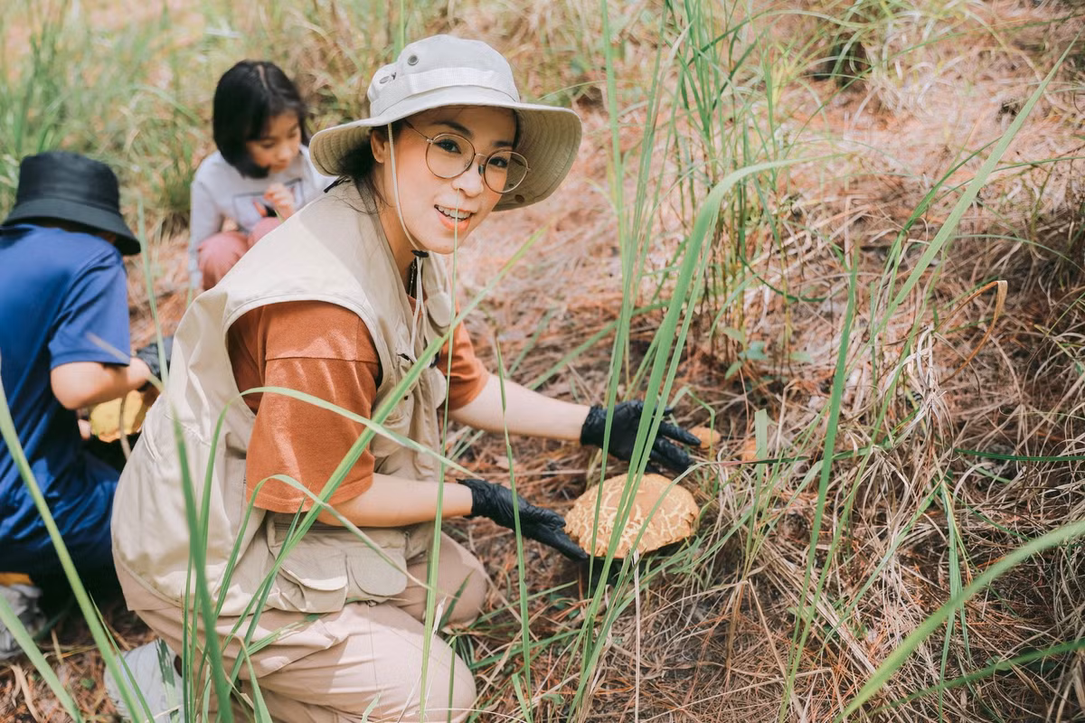 Với mức giá hợp lý, tổ chức chuyên nghiệp và nhiều hoạt động đi kèm, tour hái nấm rừng Đà Lạt chắc chắn là lựa chọn đáng thử cho bất kỳ ai yêu thiên nhiên, mê ẩm thực và thích sống chậm giữa nhịp sống vội vã thường nhật. Ảnh Đỗ Hải Anh