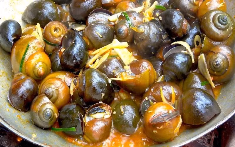 Bên cạnh đó, việc sử dụng ốc bươu trong khẩu phần ăn hợp lý còn được xem là có lợi cho sức khỏe tim mạch. Do chứa ít chất béo bão hòa và không có hàm lượng cholesterol cao, ốc bươu phù hợp với chế độ ăn hướng tới kiểm soát mỡ máu, từ đó góp phần giảm nguy cơ mắc các bệnh lý tim mạch khi kết hợp cùng lối sống lành mạnh. Ảnh minh họa