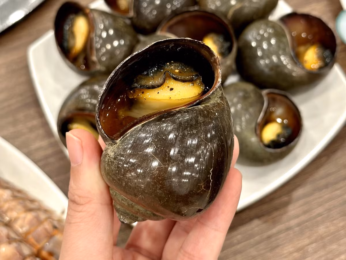 Ngoài ra, thịt ốc bươu còn chứa một lượng sắt nhất định, góp phần hỗ trợ quá trình tạo máu và phòng ngừa tình trạng thiếu máu do thiếu sắt. Dù không phải nguồn sắt dồi dào như thịt đỏ, việc bổ sung ốc bươu vào bữa ăn thường xuyên, kết hợp cùng các thực phẩm khác, vẫn mang lại lợi ích nhất định cho sức khỏe tổng thể. Ảnh minh họa