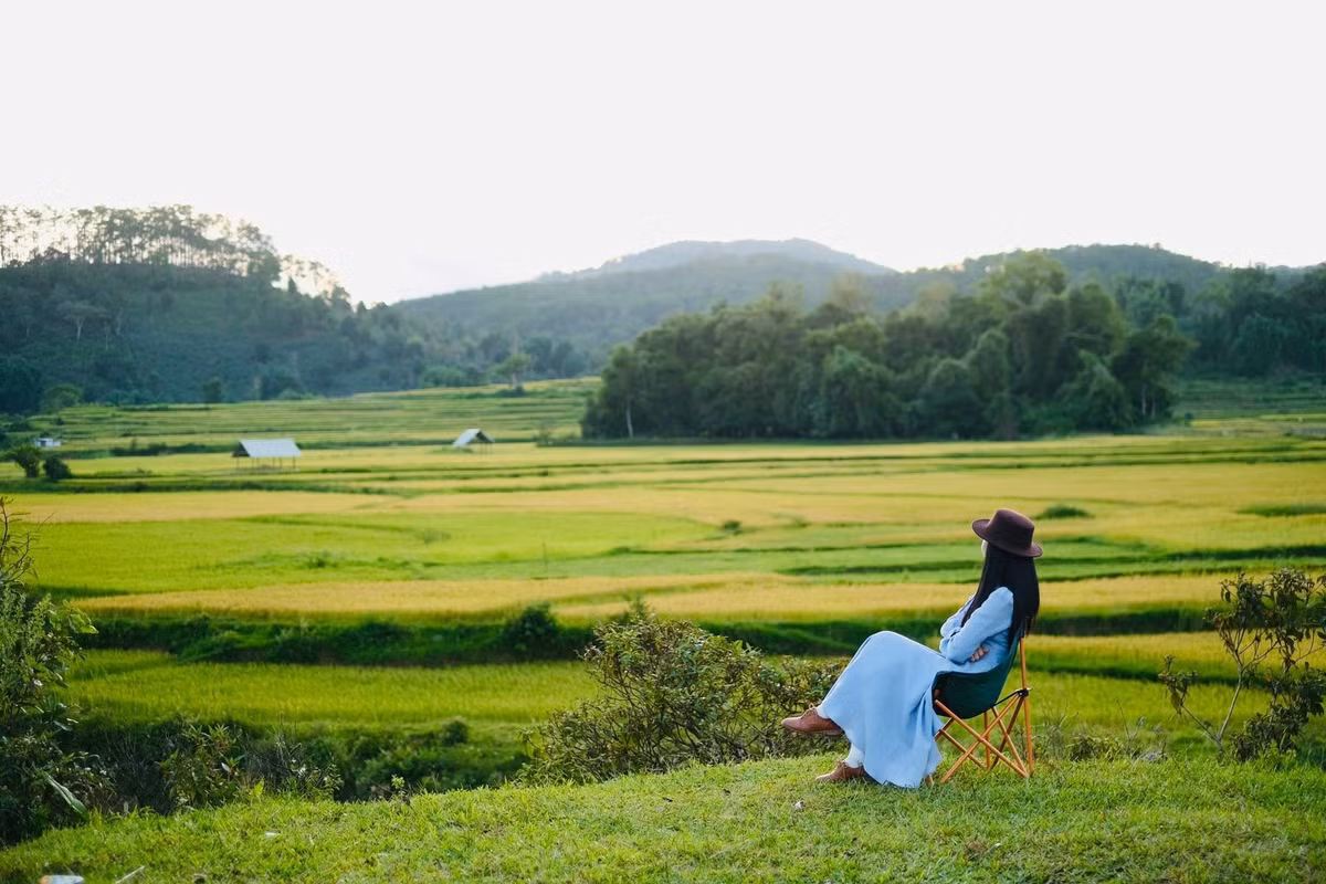 Tháng 6 đến tháng 7, khi lúa vào kỳ thu hoạch, cả vùng trở nên rực rỡ dưới nắng cao nguyên. Đó cũng là lúc người Mơ Nâm rủ nhau ra đồng từ sáng sớm, gùi thóc về làng, bắt đầu mùa làm cốm, giã gạo và ủ men rượu cần. Ảnh Thu Thủy