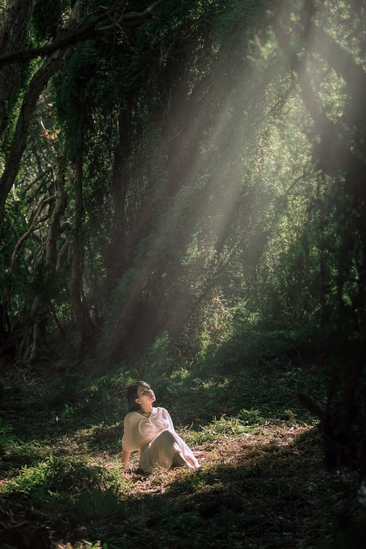 Một số phượt thủ lưu ý, khách nữ đi lần đầu không nên đi một mình mà nên có người quen đường hoặc dân bản địa đồng hành để đảm bảo an toàn. Chính sự hoang sơ, chưa bị thương mại hóa lại càng khiến khu rừng giữ được vẻ nguyên bản, trong lành và yên tĩnh. Ảnh Huy