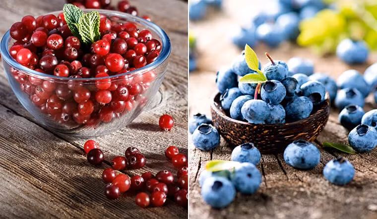 Những loại trái mọng nhỏ bé này chứa hàm lượng anthocyanin cao hợp chất tạo nên màu tím đặc trưng và có khả năng ức chế sự phát triển của tế bào ung thư gan. Ảnh minh họa