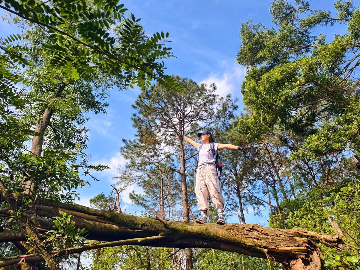 Không chỉ trekking, nhiều du khách còn lựa chọn cắm trại qua đêm tại khu vực hồ Hàm Lợn (hay còn gọi là Suối Bàu) – một hồ nước rộng nằm ngay dưới chân núi. Nơi đây có không gian rộng, thoáng đãng, thích hợp để dựng lều, tổ chức tiệc BBQ, đốt lửa trại hay đơn giản là ngồi ngắm hoàng hôn, nghe tiếng côn trùng đêm. Ảnh Giang Lang Thang