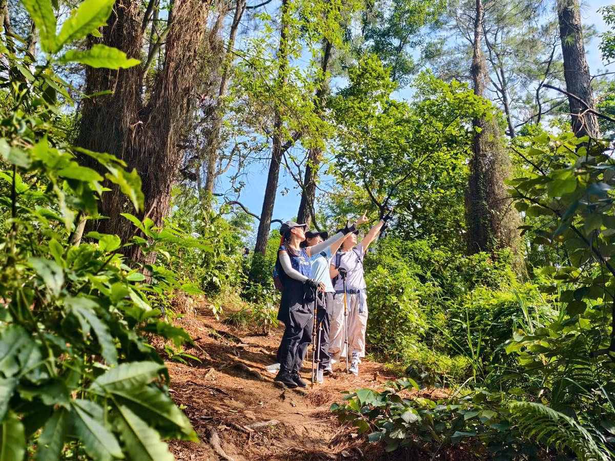 Dọc hành trình, du khách có thể bắt gặp những khung cảnh thiên nhiên tuyệt đẹp tiếng chim hót, gió lùa qua rừng cây, và đôi khi là làn sương mờ giăng lối, nhất là vào sáng sớm hoặc chiều muộn.