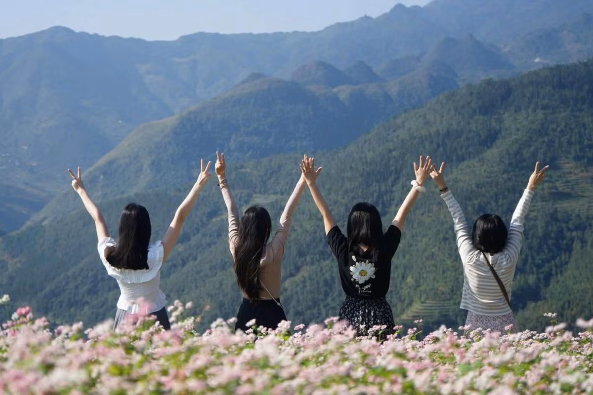 Lễ hội hoa Tam giác mạch năm 2025 sẽ chính thức khai mạc vào tối 29/11 tới, kéo dài đến cuối tháng 12. Đây là lễ hội đặc sắc, mang đậm dấu ấn văn hóa đồng bào các dân tộc, là sự kiện quan trọng để quảng bá hình ảnh đất và người vùng cao đến du khách. Ảnh Internet