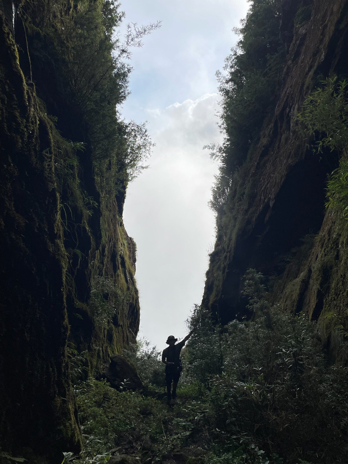 Theo những người dẫn tour giàu kinh nghiệm, săn mây trên Ngũ Chỉ Sơn không chỉ dựa vào dự báo thời tiết mà còn phụ thuộc vào “vận may” của mỗi người. Có những ngày mây kín lối, nhưng cũng có lúc cả biển mây mở ra ngay trước mắt, để lại khoảnh khắc khiến người ta chỉ muốn lặng im ngắm nhìn. Ảnh