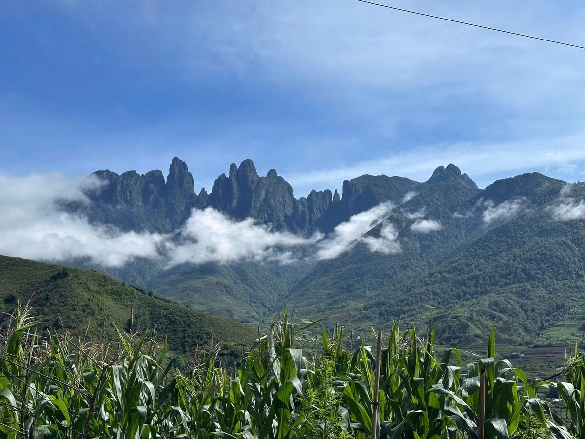 Đỉnh cao nhất của Ngũ Chỉ Sơn được gắn chóp inox từ năm 2018. Từ đây, trong điều kiện thời tiết thuận lợi, du khách có thể phóng tầm mắt ra bốn phía, chiêm ngưỡng toàn cảnh núi non Tây Bắc trùng điệp. Những đỉnh núi quen thuộc như Fansipan, Lảo Thẩn, Nhìu Cồ San, Kỳ Quan San hay Chu Va lần lượt hiện ra giữa nền trời xanh thẳm. Ảnh Bùi Đình Sơn