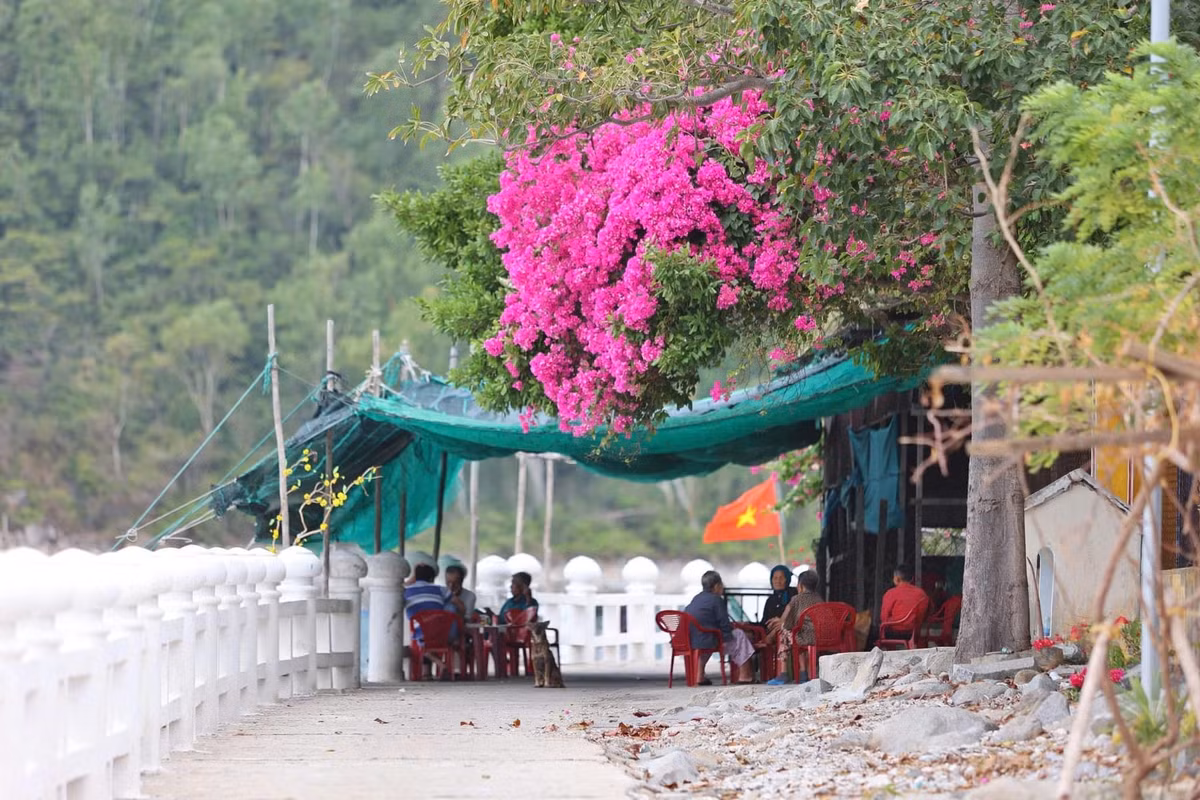 Đến Bích Đầm, du khách không chỉ được đắm mình trong làn nước mát lành, mà còn có thể đi dạo quanh đảo, khám phá những con đường ven biển, trò chuyện cùng người dân, và thưởng thức các món hải sản tươi ngon vừa được đánh bắt. Ảnh Bá Duy